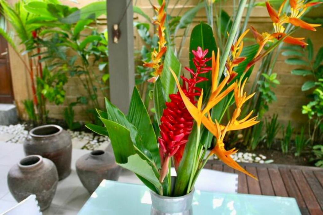 Villa Taman Rahasia, Sitara Villa Group Seminyak Exteriér fotografie